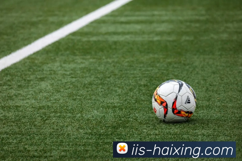 海星体育直播平台生态图